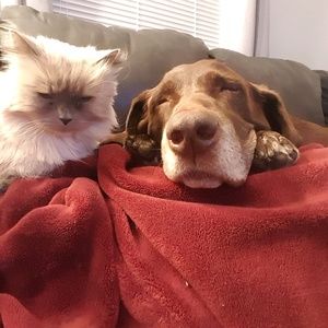 Meet your Posher, Janell